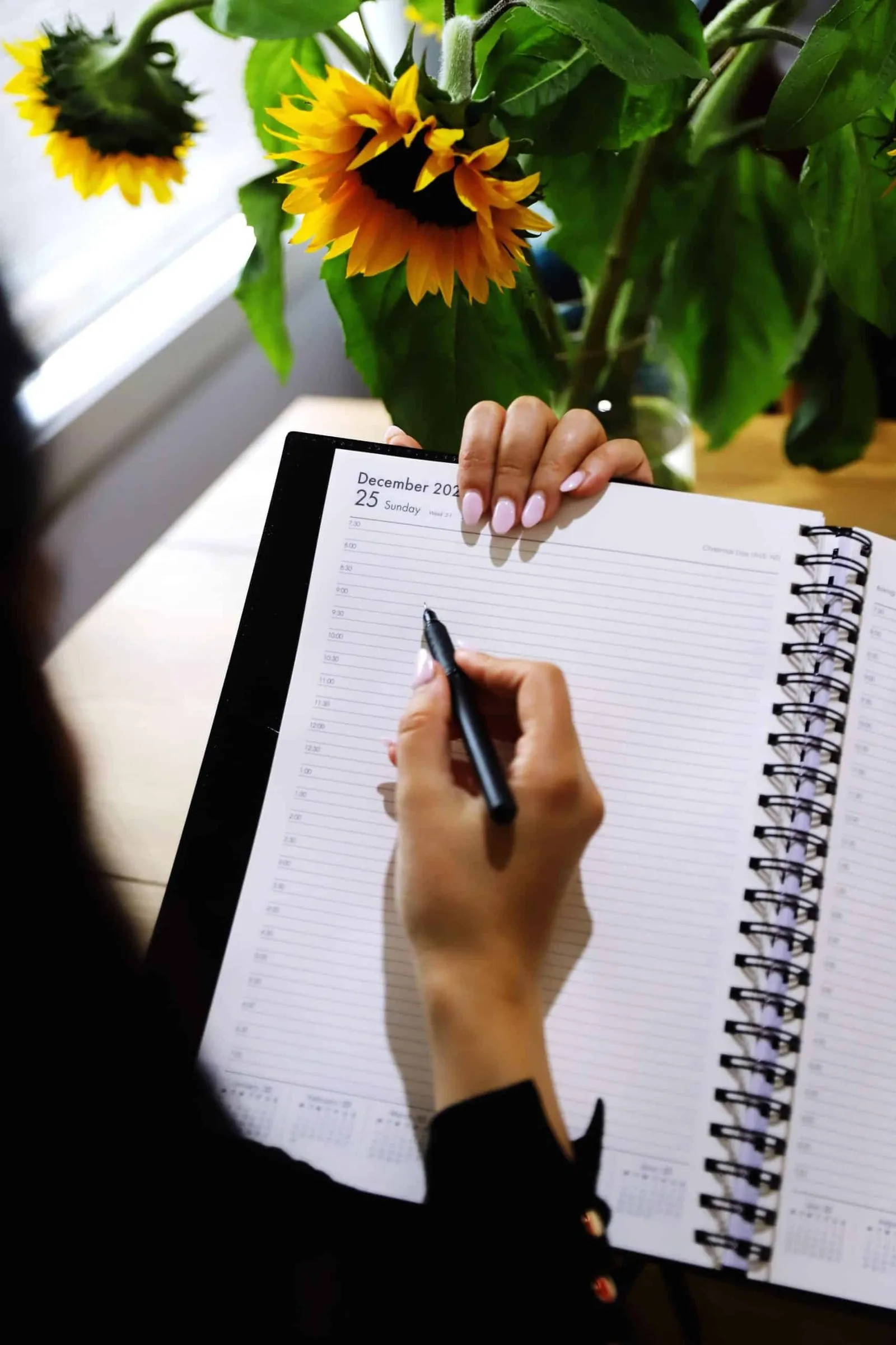 Planning & Organisation β Virtual Assistant